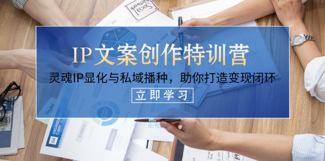 IP文案创作特训营，灵魂IP显化与私域播种，助你打造变现闭环（14节课）-九源吧