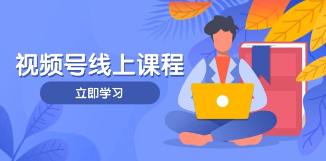 视频号实战课程，轻IP打造与运营技巧，掌握核心方法与策略-九源吧