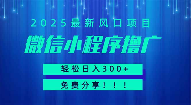 微信小程序撸广，最新风口项目，日入300+ 免费分享 可批量操作 小白可…-九源吧