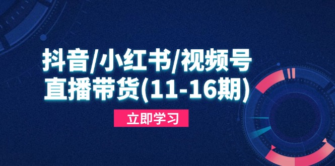 抖音/小红书/视频号/直播带货(11-16期)，快速掌握平台规则，打造爆款内容-九源吧