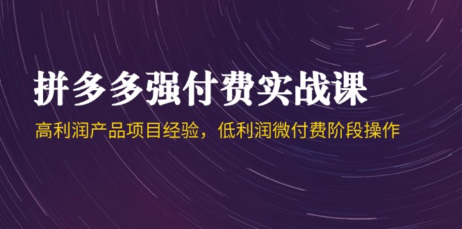 拼多多强付费实战课-44期，高利润产品项目经验，低利润微付费阶段操作-九源吧网赚