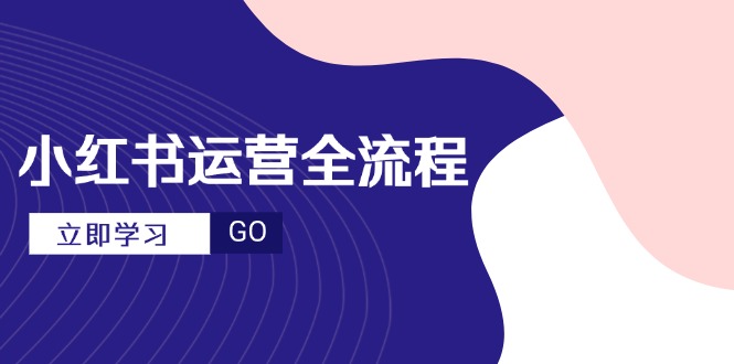 小红书运营全流程，爆款选题文案，视频制作技巧，进阶达人宝典-九源吧网赚