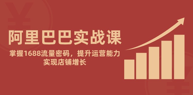 阿里巴巴实战课：掌握1688流量密码，提升运营能力，实现店铺增长-九源吧网赚