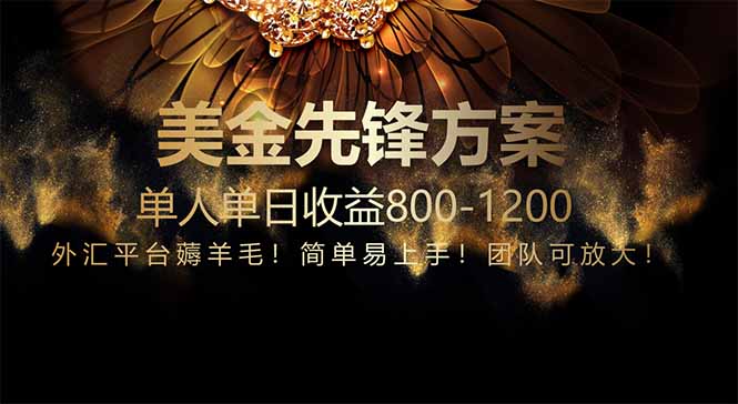免费技术！小众赛道！一年布局抵三年努力，每日800+-九源吧网赚