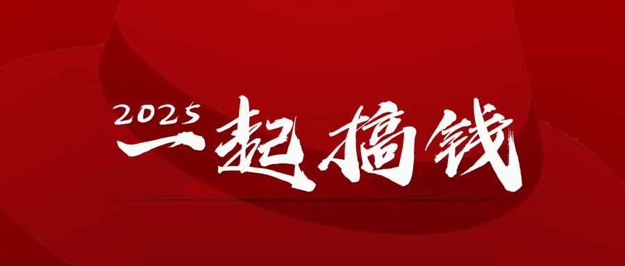 2025年，请“不择手段”去搞钱!-九源吧网赚学院