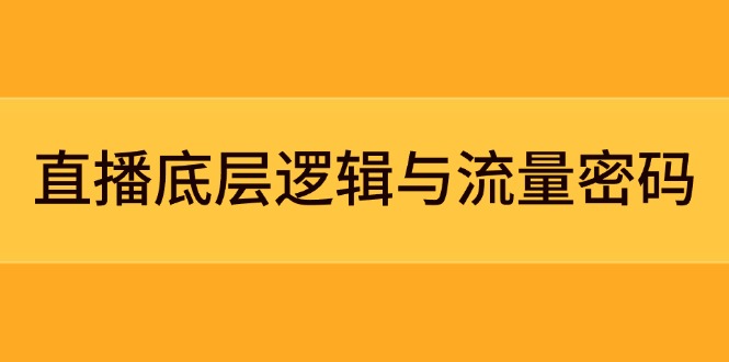 直播底层逻辑与流量密码：定位模型+案例拆解，急速流承接与数据优化全攻略-九源吧网赚