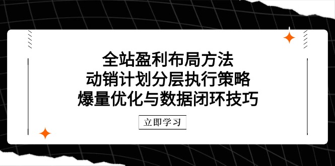 全站盈利布局方法：动销计划分层执行策略，爆量优化与数据闭环技巧-九源吧网赚