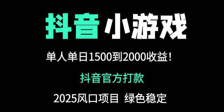 抖音官方小游戏2025全网最新玩法，暴利赚钱项目，单机日入2000+-九源吧网赚