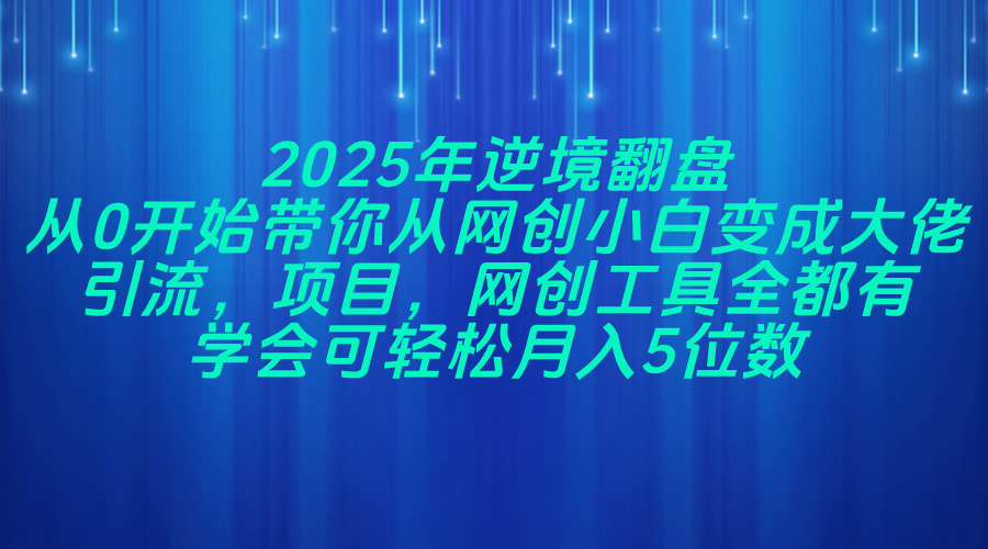 2025年逆境翻盘，从0开始带你从网创小白变成大佬，引流，项目，网创工…-九源吧网赚