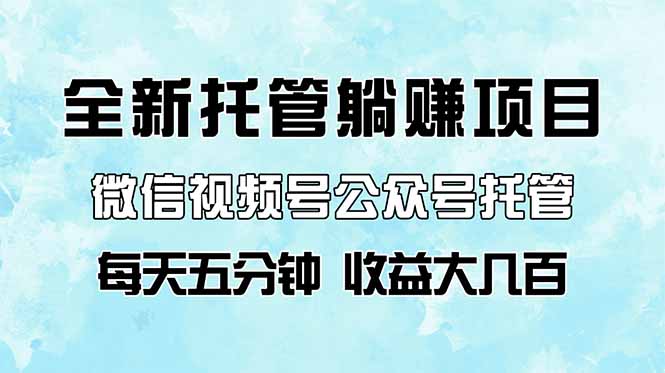全新托管躺赚项目，微信视频号公众号托管代运营，每天五分钟，收益大几百-九源吧网赚
