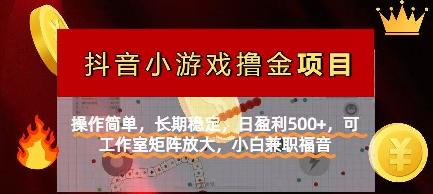 【抖音小游戏发行人计划项目】操作简单，长期稳定，日盈利500+，可工作…-九源吧网赚