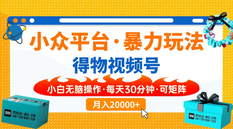 小众平台暴力玩法，一键搬运爆款视频，可矩阵小白无脑操作，每天30分钟…-九源吧网赚