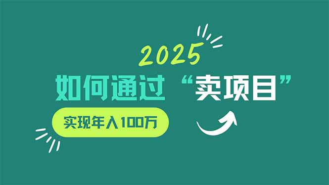 2025年如何通过“卖项目”实现年入100万-九源吧网赚