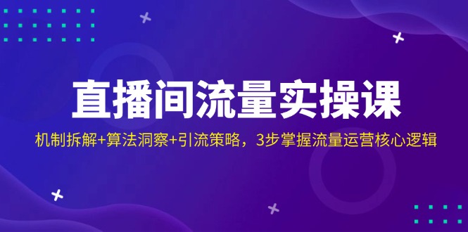 直播间流量实操课：机制拆解+算法洞察+引流策略，3步掌握流量运营核心逻辑-九源吧网赚
