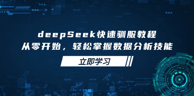deepSeek快速驯服教程，从零开始，轻松掌握数据分析技能-九源吧网赚