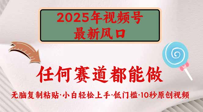 2025年视频号新风口，低门槛只需要无脑执行-九源吧网赚