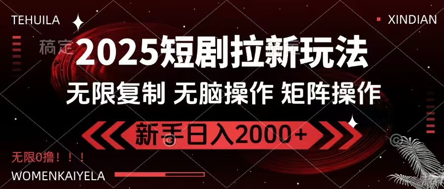 2025短剧拉新玩法，无需注册登录，无限0撸，无脑批量操作日入2000+-九源吧网赚