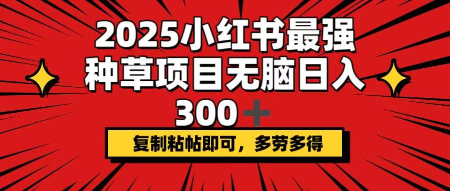 2025小红书最强种草项目，无脑日入300+，复制粘帖即可，多劳多得-九源吧网赚