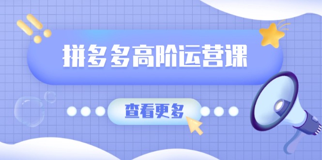 拼多多高阶运营课：极致群爆款玩法，轻付费无尽复制，打造单品爆款之路-九源吧网赚