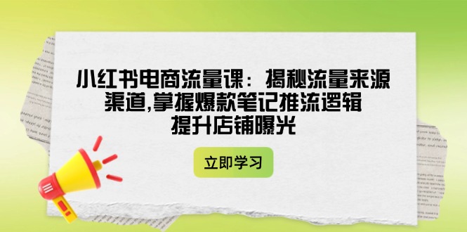 小红书电商流量课：揭秘流量来源渠道,掌握爆款笔记推流逻辑,提升店铺曝光-九源吧网赚