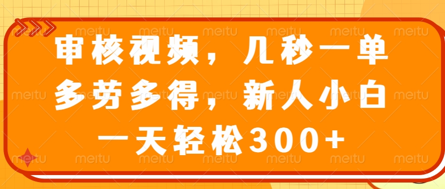 审核视频，几秒一单，多劳多得，新人小白一天轻松300+-九源吧网赚