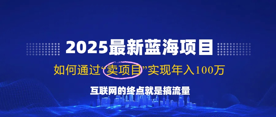 2025最新蓝海项目，零门槛轻松复制，月入10万+，新手也能操作！-九源吧网赚