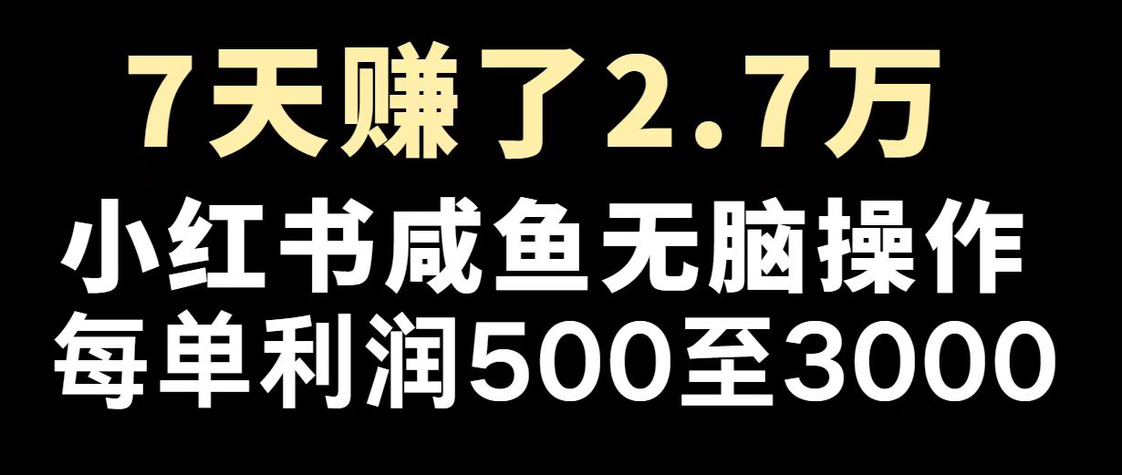 最赚钱项目之一，2025爆火，逆风翻盘！-九源吧网赚