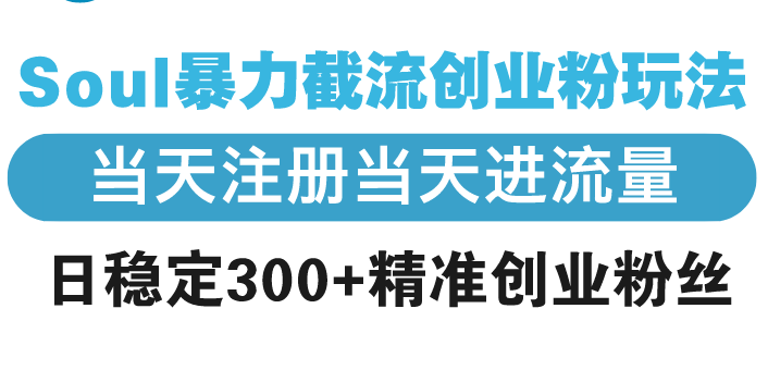 Soul暴力截流创业粉玩法，当天注册当天进流量，日稳定300+精准创业粉丝-九源吧资源站