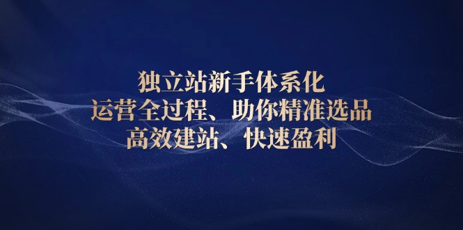 独立站新手体系化 运营全过程，助你精准选品、高效建站、快速盈利-九源吧资源站