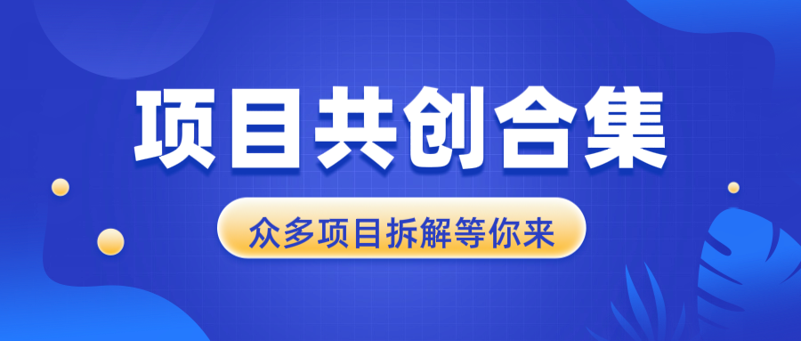 项目共创合集，从0-1全过程拆解，让你迅速找到适合自已的项目-九源吧网赚