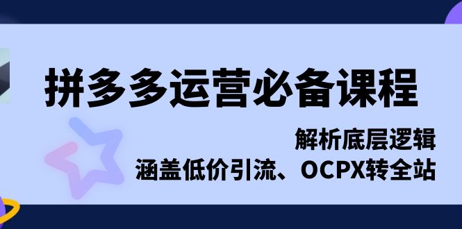 拼多多运营必备课程，解析底层逻辑，涵盖低价引流、OCPX转全站-九源吧网赚
