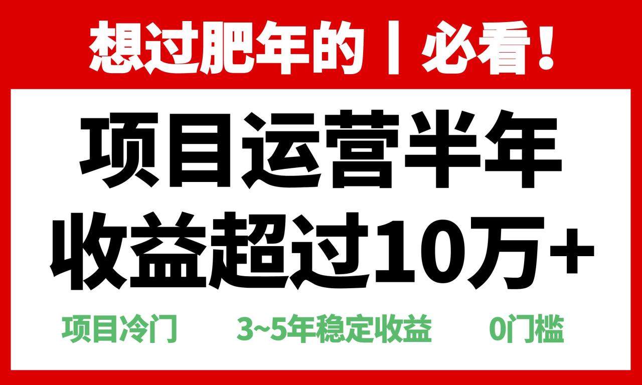 年前过肥年的必看的超冷门项目，半年收益超过10万+-九源吧网赚