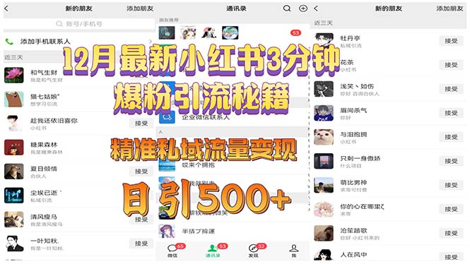12月最新小红书3分钟爆粉引流秘籍 精准私域流量变现 日引500+-九源吧网赚学院