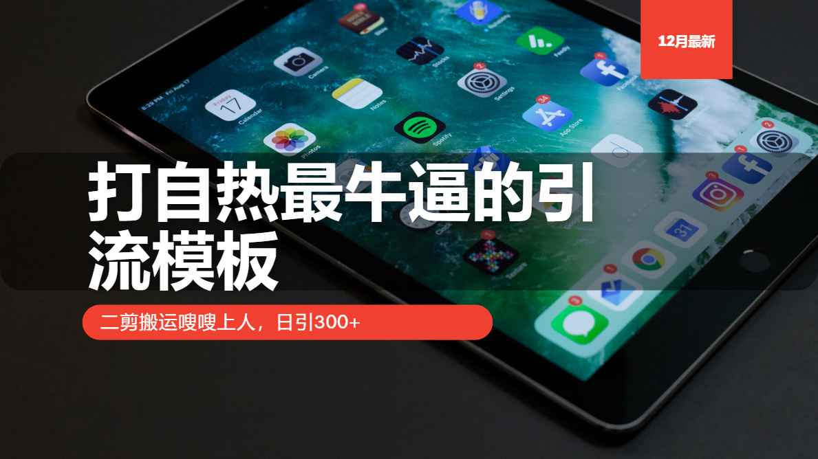 打自热最牛逼的引流模板，二剪搬运嗖嗖上人，日引300+-九源吧网赚