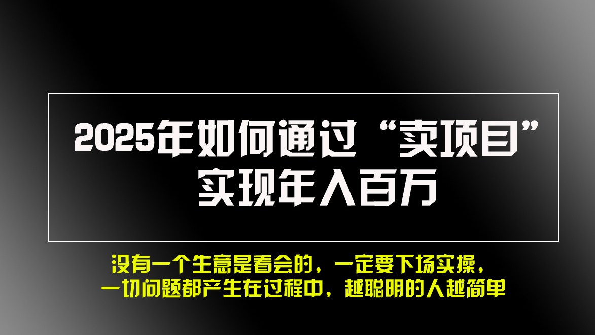 2025年如何通过“卖项目”实现年入百万，做网赚必看！！-九源吧资源站