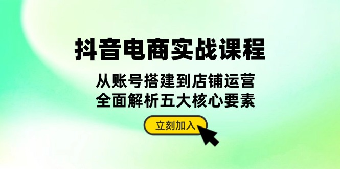 抖音 电商实战课程：从账号搭建到店铺运营，全面解析五大核心要素-九源吧网赚
