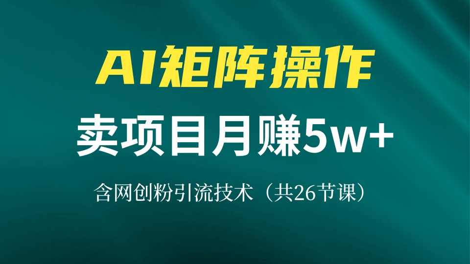 网创IP打造课，借助AI卖项目月赚5万+，含引流技术（共26节课）-九源吧网赚