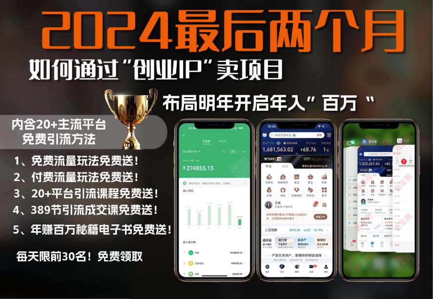 2024最后两个月如何通过”创业IP“卖项目年入”百万“,创业IP+最强引流…-九源吧网赚