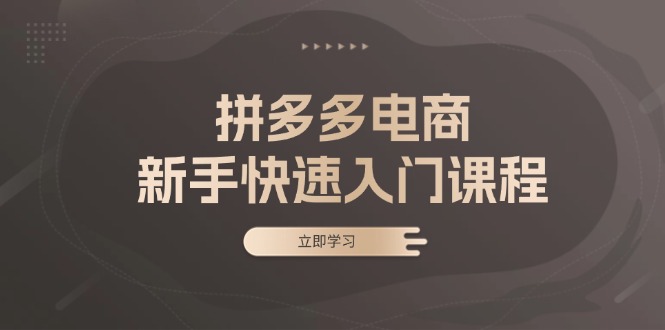 拼多多电商新手快速入门课程：涵盖基础、实战与选款，助力小白轻松上手-九源吧资源站