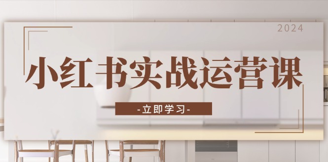 小红书实战运营课：从开通店铺到直播话术，打造爆款笔记与高效直播-九源吧网赚