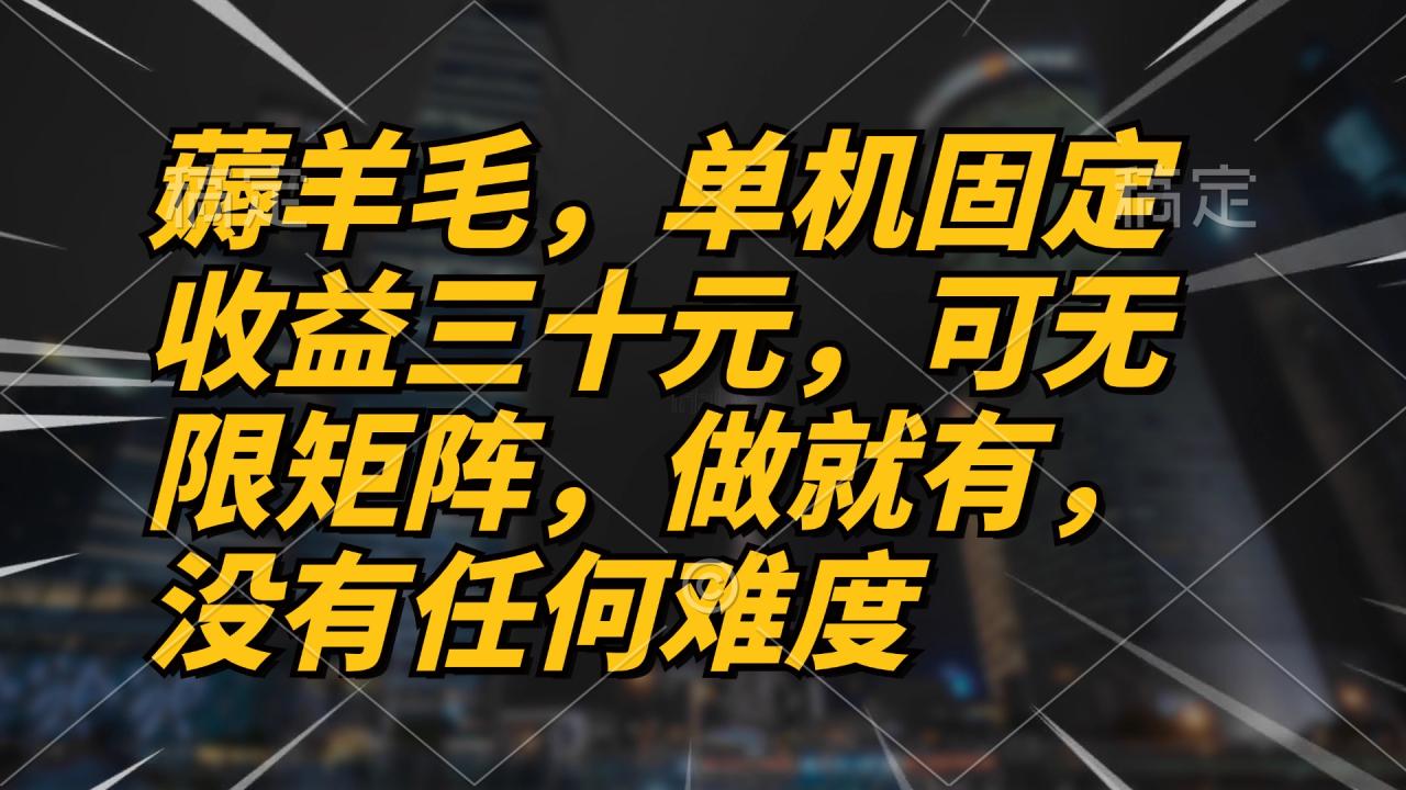 薅羊毛项目，单机三十元，做就有，可无限矩阵 无任何难度-九源吧网赚