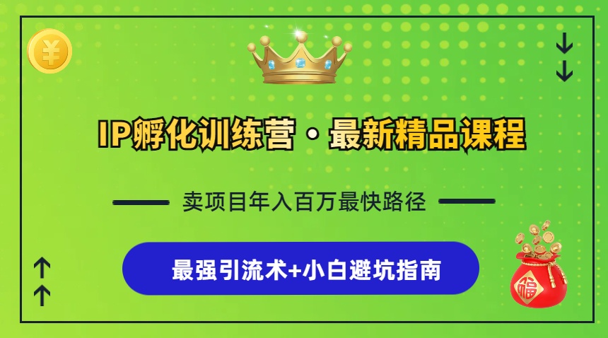 IP孵化训练营，知识付费全流程+最强引流术+小白避坑指南-九源吧网赚