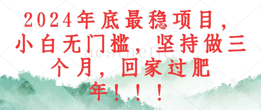 2024年底最稳项目，小白无门槛，坚持做三个月，回家过肥年！！！-九源吧网赚