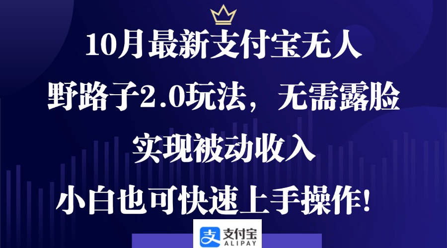 0月最新支付宝无人野路子2.0玩法，无需露脸，实现被动收入，小白也可…-九源吧网赚
