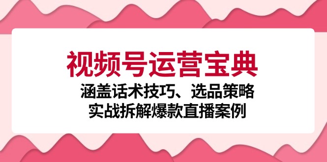 视频号运营宝典：涵盖话术技巧、选品策略、实战拆解爆款直播案例-九源吧网赚学院