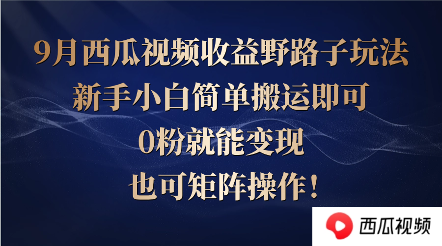 西瓜视频收益野路子玩法，新手小白简单搬运即可，0粉就能变现，也可矩…-九源吧网赚
