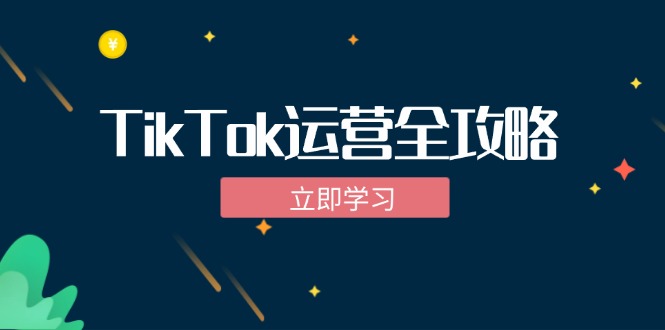 TikTok实战运营全攻略：从下载软件到变现，抖音海外版实操教程-九源吧网赚