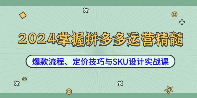 2024掌握拼多多运营精髓：爆款流程、定价技巧与SKU设计实战课-九源吧资源站