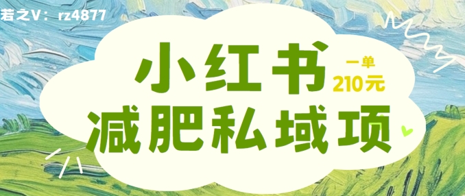 小红书减肥粉，私域变现项目，一单就达210元，小白也能轻松上手【揭秘】-九源吧网赚
