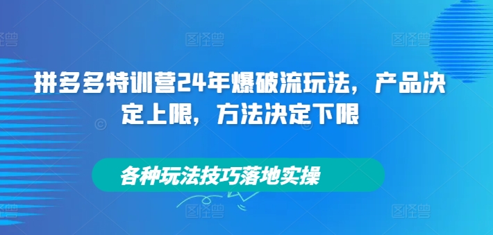 拼多多特训营24年爆破流玩法，产品决定上限，方法决定下限，各种玩法技巧落地实操-九源吧网赚